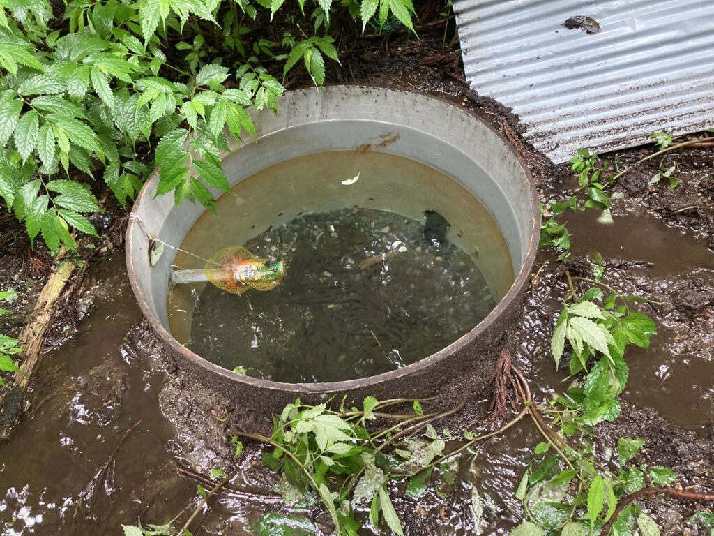 水枯渇調査（事業損失）